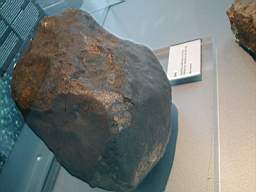 zag  H3-H6  23,5kg museum des sciences valencia.jpg